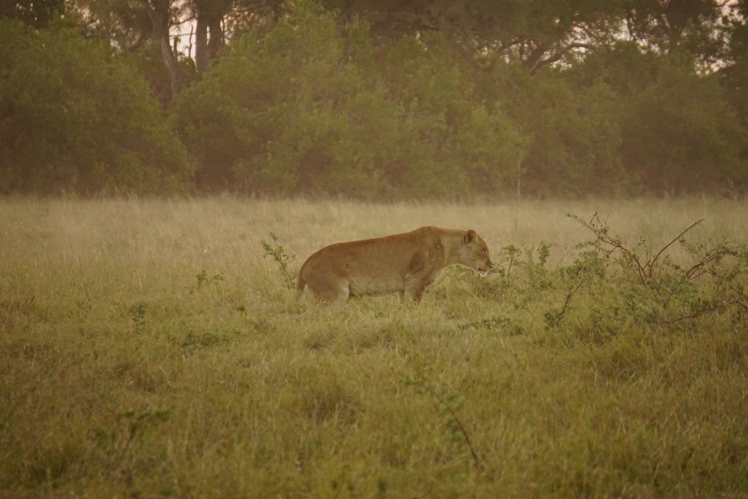 Botswana